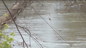 Chattahoochee River faced with ‘emergency situation’ due to E. coli elevation