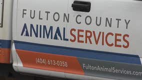 Fulton County halts animal control services in Atlanta amid funding dispute
