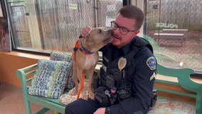 Kennesaw Police helps animal rescue match pets to their forever homes