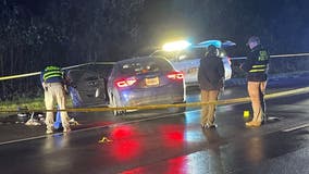 High-speed Alabama chase ends in Georgia with shootout