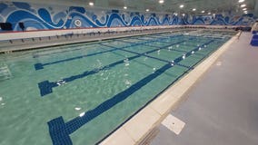 Local swim school encourages an early start to lessons