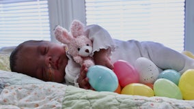 NICU babies celebrate first Easter early at Wellstar Cobb Medical Center