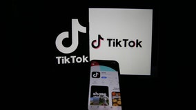 TikTok ban bill favored by slim majority of Americans, poll finds