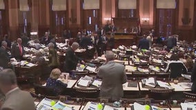 Sine Die 2024: What's next for controversial bills passed by Georgia General Assembly
