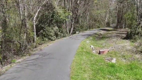 Rabid cat attacks couple on popular Peachtree City path