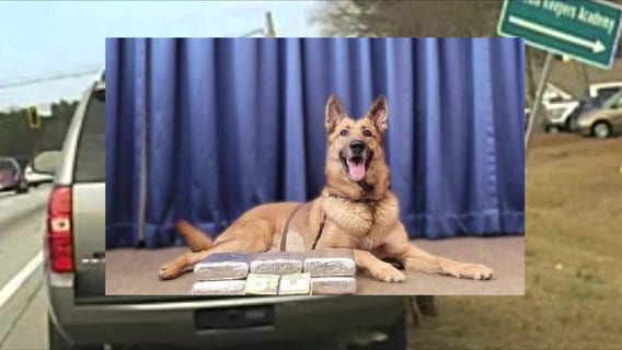 Massive cocaine bust: K-9 sniffs out nearly $750K in drugs in Fayette County traffic stop