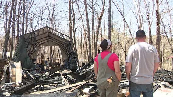 Beloved family pet pig perishes in Splendor Oaks farm fire