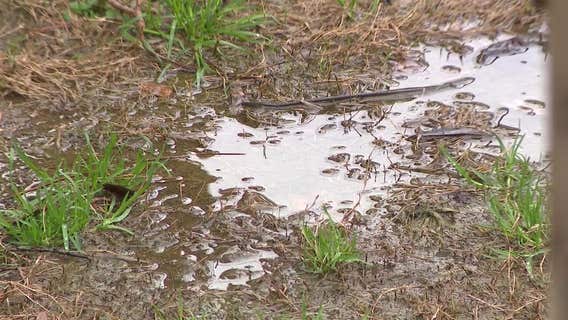 Atlanta couple blames city’s ‘negligence’ for flood damage, mold in new construction home
