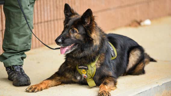 Retired K9 officer passes away in Barrow County