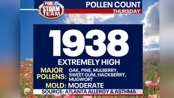 Pollen counts soaring in metro Atlanta: Tips on how to survive