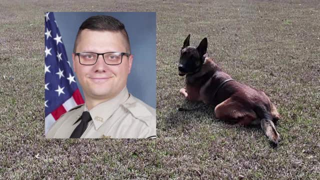 K-9 Deputy Robbie adjusts to new partner after tragic loss of Deputy Minix in Coweta County