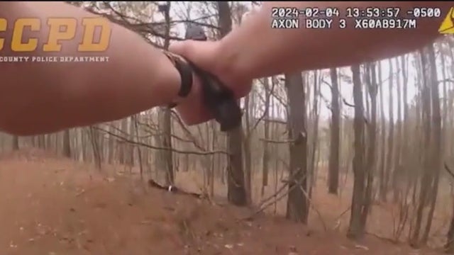 'I see that gun': 2 teens arrested in Cobb County for armed carjacking in DeKalb