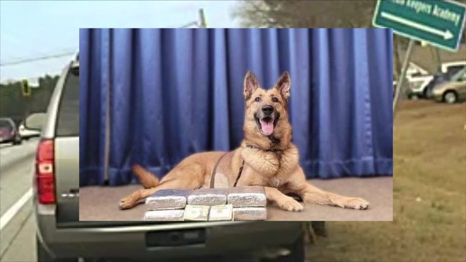 Fayette County Sheriff’s K-9 Jäger is being credited with making a massive cocaine bust.