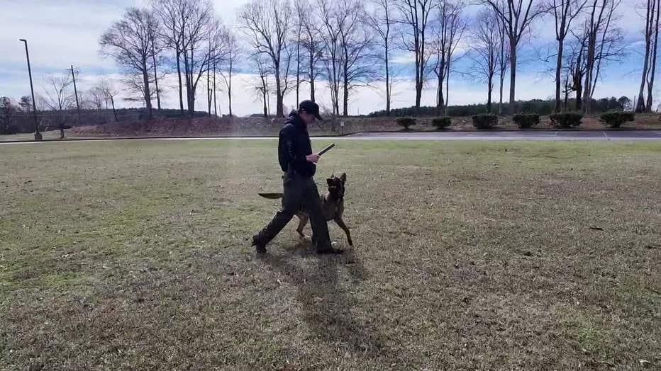 Coweta County K-9 Robbie trains with his new partner Deputy Hunter Spradlin.