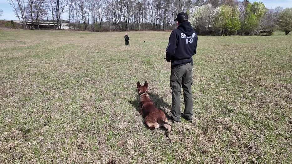 Coweta County K-9 Robbie trains with his new partner Deputy Hunter Spradlin.