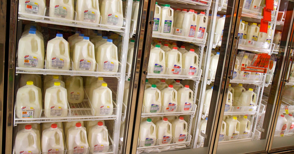 Bird flu in cows: 1 in 5 pasteurized milk samples had traces of virus ...
