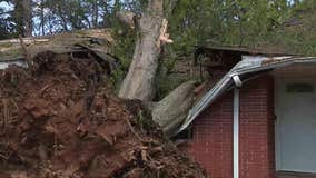 Conyers tornado: Families process severe storm damage as cleanup begins
