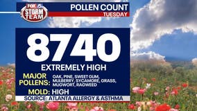 Atlanta's pollen count on Tuesday third highest ever recorded in metro area