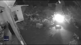 ‘We Almost Died!’ Video shows Virginia men narrowly escape tree as it crashes into backyard