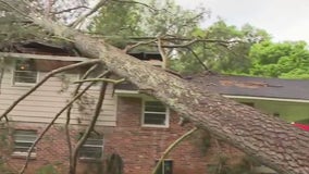 Falling tree narrowly misses sleeping 18-year-old in Morrow, mother says