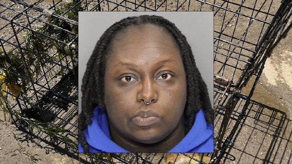 English Bulldog found drowned in Chattahoochee River, woman arrested