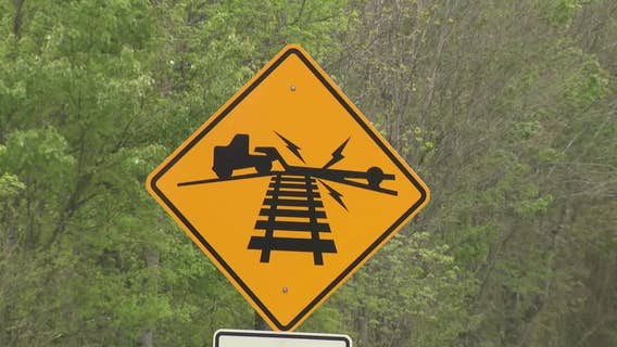 Driver charged with animal cruelty after train hits horse trailer