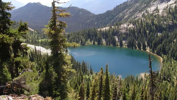 2 family members drown after falling in creek on Tennessee trail