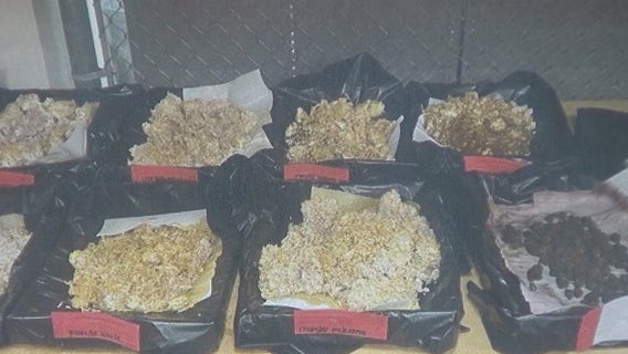 Clayton County police announce bust of 'magic mushroom' grow house