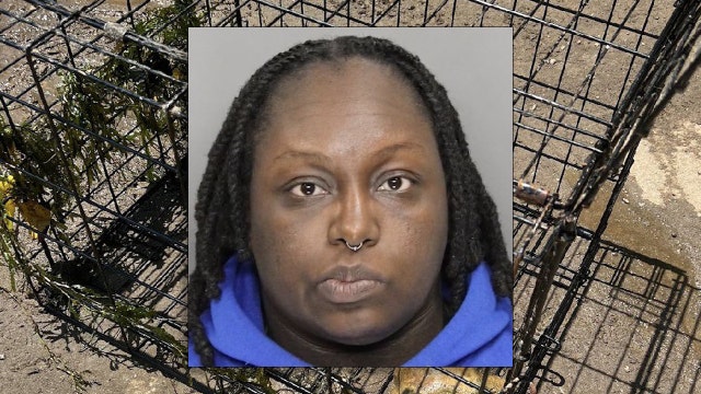 English Bulldog found drowned in Chattahoochee River, woman arrested