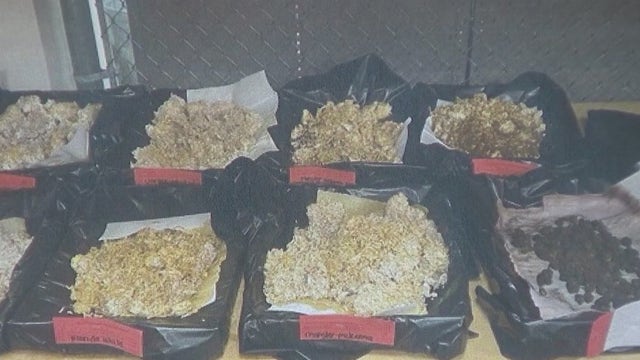 Clayton County police announce bust of 'magic mushroom' grow house