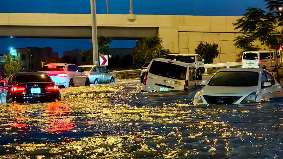 Video Cat clings to car door in Dubai flooding before being scooped up