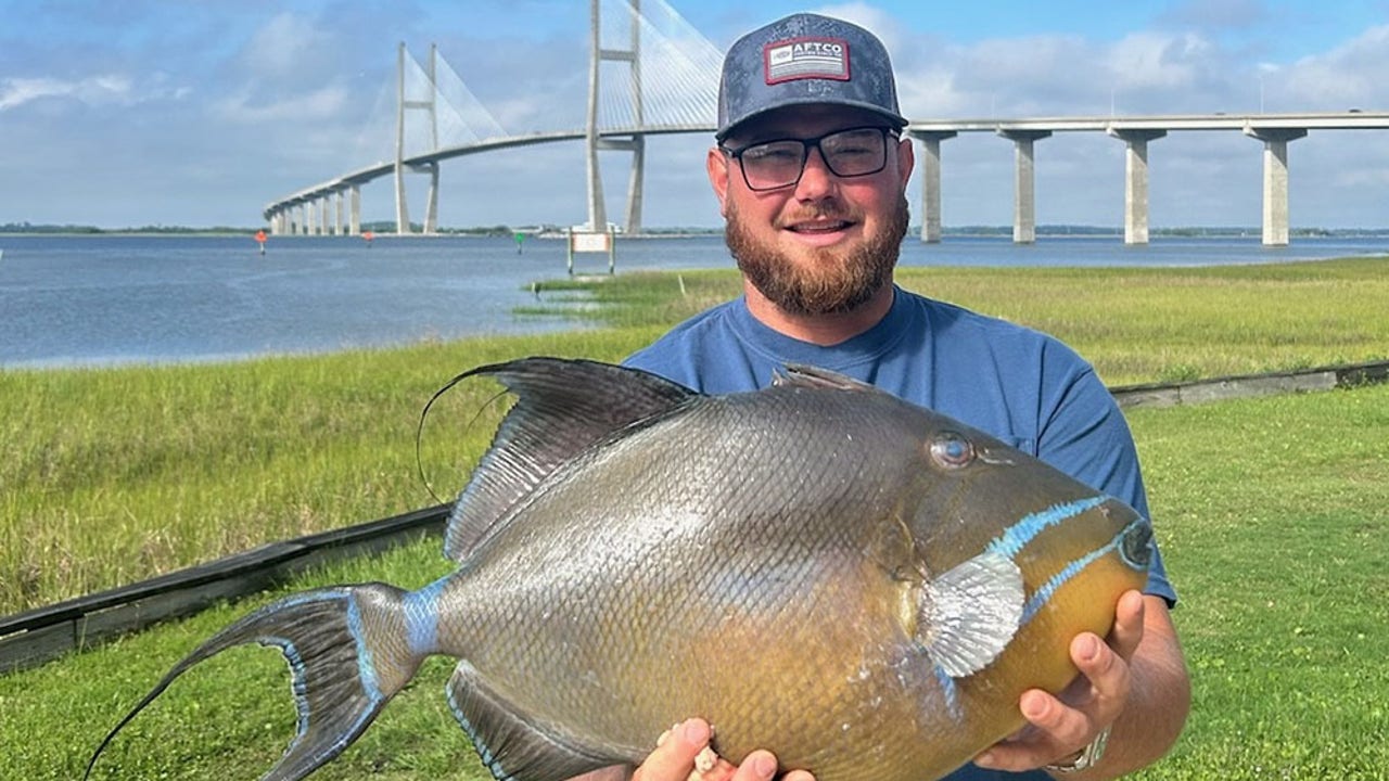 Georgia angler hooks unique-looking fish, snags state record 2 months after it's broken