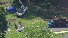 OSHA finds tree trimmer's death in Acworth was preventable