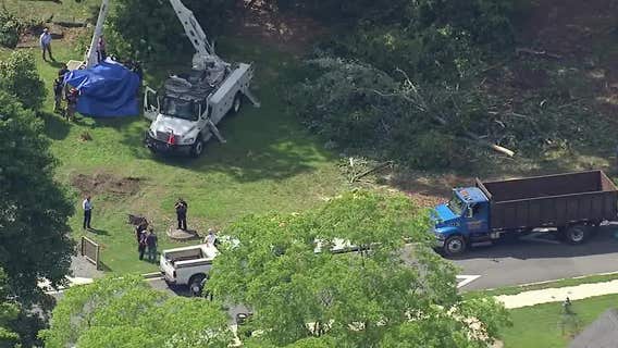 OSHA finds tree trimmer's death in Acworth was preventable