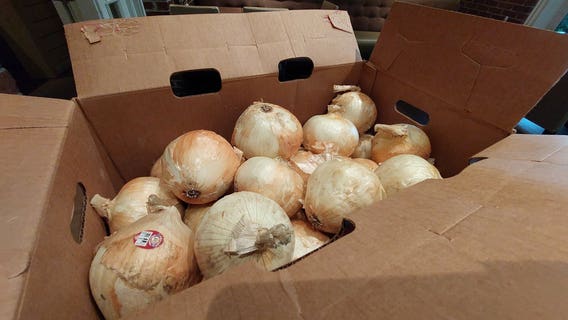 Vidalia onion campaign 'sweetens' menu at local restaurants