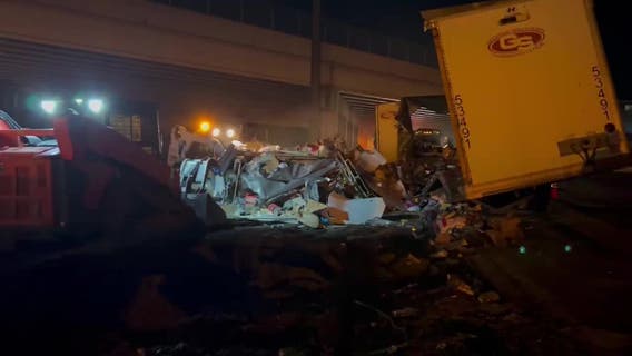 Fire destroys semi-truck carrying pet products on I-285