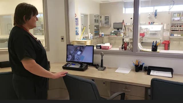 Gwinnett Medical Examiner's office wins lawsuit against ex-employees over overtime pay