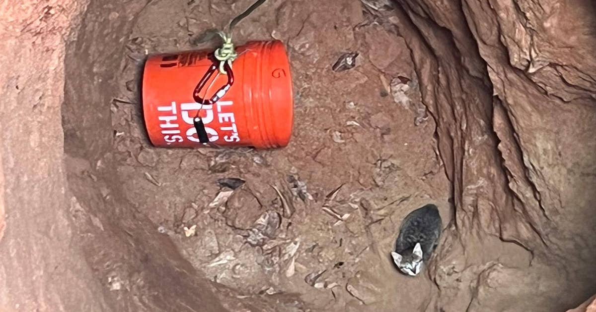 Cobb County firefighters rescue kittens stuck in well | FOX 5 Atlanta