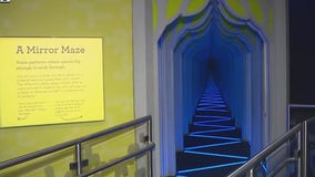 Mirror maze exhibit at Fernbank Museum highlights nature’s fascinating patterns