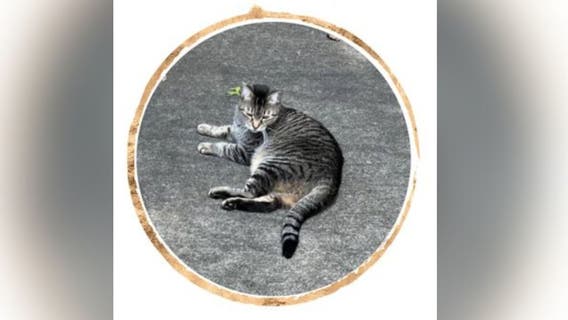 South Fulton police and fire departments pay tribute to beloved cat