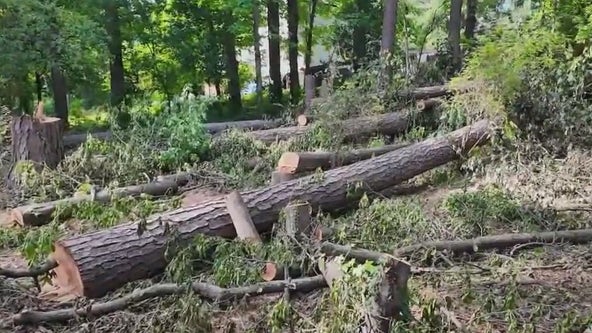 Gwinnett homeowners say they were scammed out of thousands by fleeing tree trimmer
