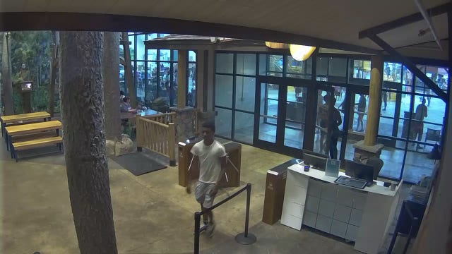Vacation spoiled by theft at Great Wolf Lodge in LaGrange, police seek suspect