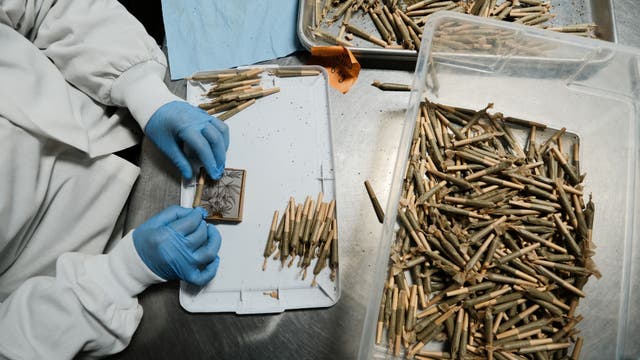 $85K to smoke weed and roll blunts? One Bay Area company is hiring