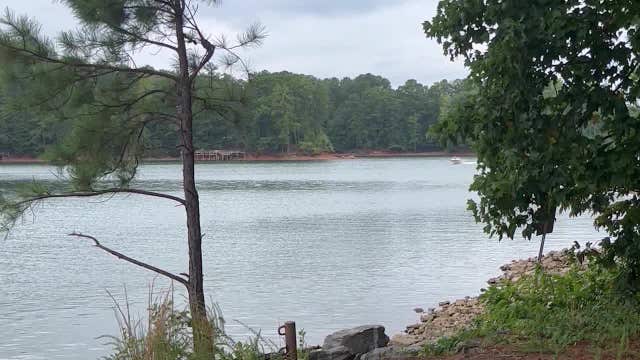 Lake Lanier Association issues urgent algae bloom warning
