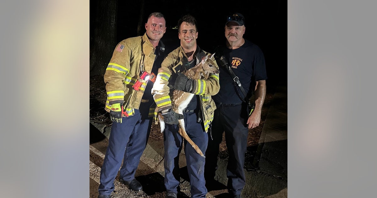 Roswell firefighters rescue young deer stuck in pond | FOX 5 Atlanta