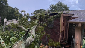 Severe storms tear through north Georgia, downing trees and power lines