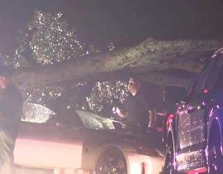 One person was killed when a tree fell on their car in the 5700 block of Vaughn Road in Canton on July 30, 2024.