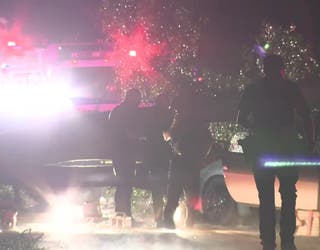 One person was killed when a tree fell on their car in the 5700 block of Vaughn Road in Canton on July 30, 2024.