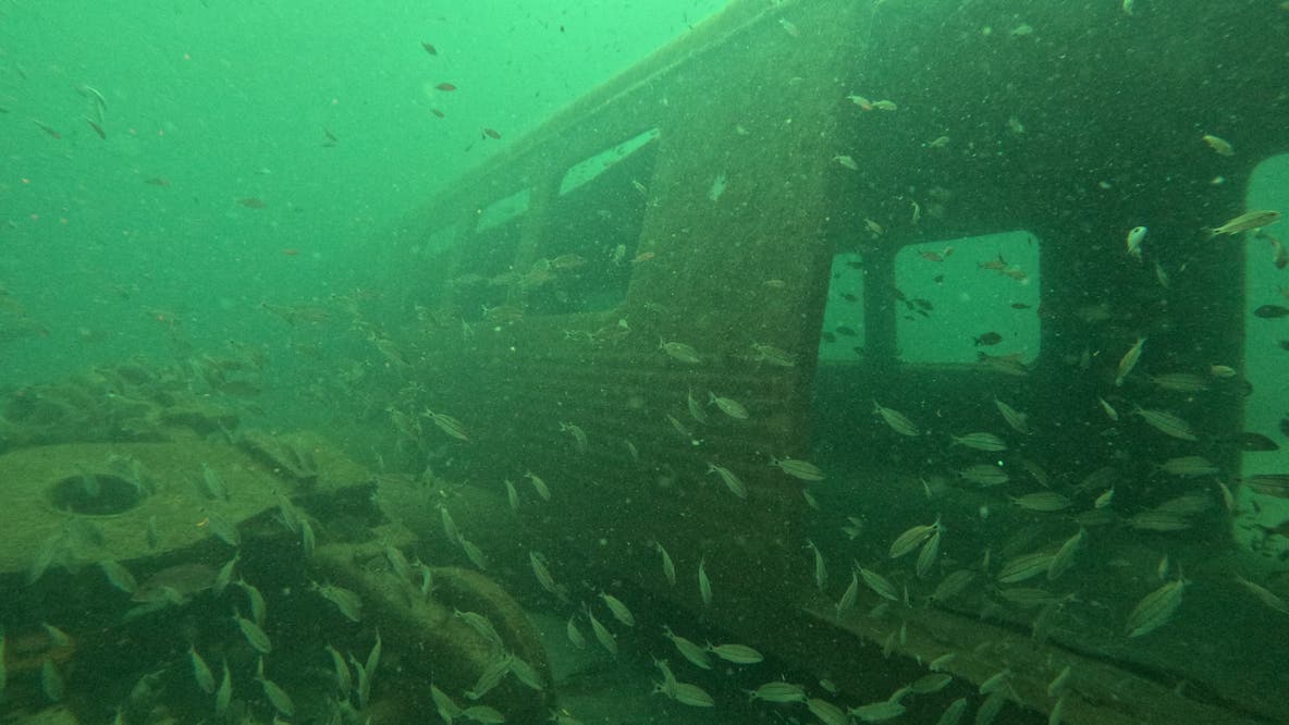 How a sunken MARTA train car is tracking sharks off Georgia coast