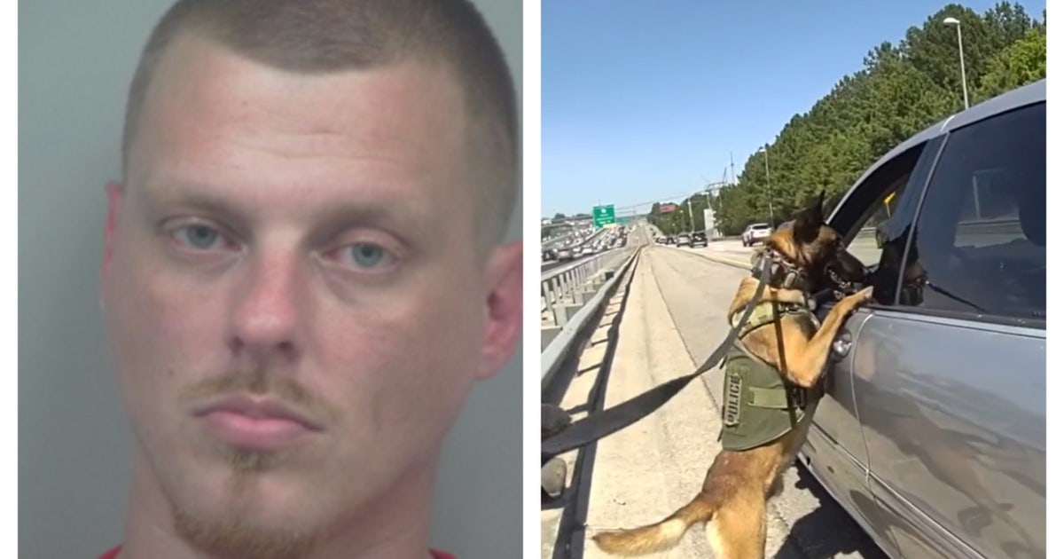 Athens man with meth arrested during traffic stop in Gwinnett Co. | FOX ...